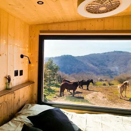 Homnest - Bosquet Des Domes N2 - Puys A Cheval Ferienhaus Châtel-Guyon