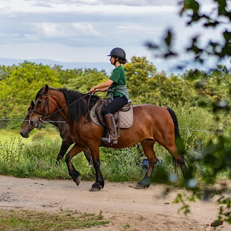 Ferienhaus Homnest - Bosquet Des Domes N2 - Puys A Cheval