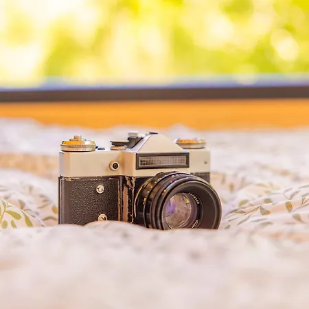 Homnest - Bosquet Des Domes N2 - Puys A Cheval Ferienhaus