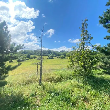 Homnest - Bosquet Des Domes N2 - Puys A Cheval Ferienhaus