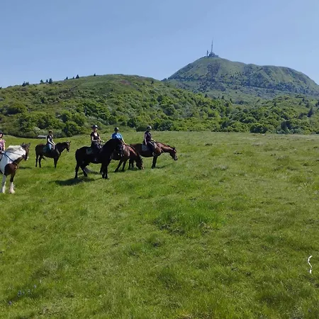 Homnest - Bosquet Des Domes N2 - Puys A Cheval Ferienhaus *
