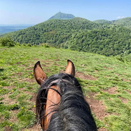 Homnest - Bosquet Des Domes N2 - Puys A Cheval *