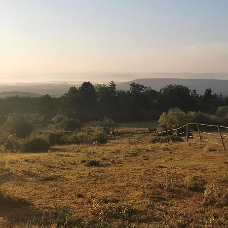 Homnest - Bosquet Des Domes N2 - Puys A Cheval Ferienhaus Châtel-Guyon