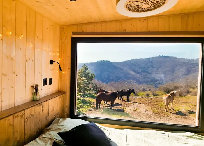 Homnest - Bosquet Des Domes N2 - Puys A Cheval Ferienhaus Châtel-Guyon