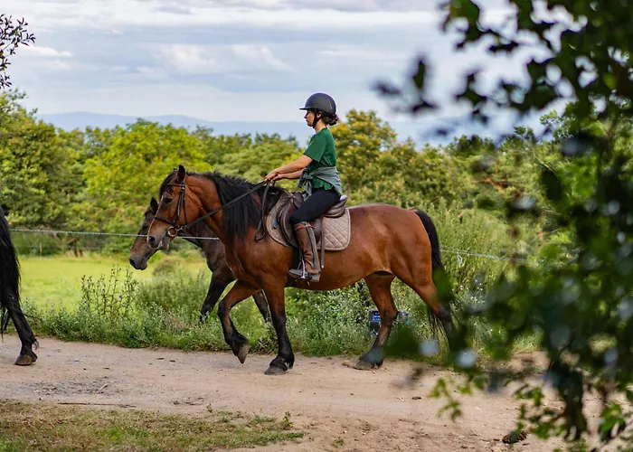 Ferienhaus Homnest - Bosquet Des Domes N2 - Puys A Cheval