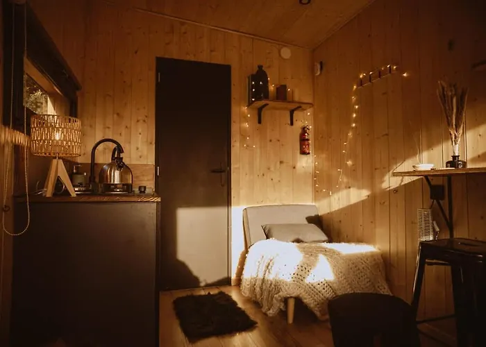 Homnest - Bosquet Des Domes N2 - Puys A Cheval Châtel-Guyon