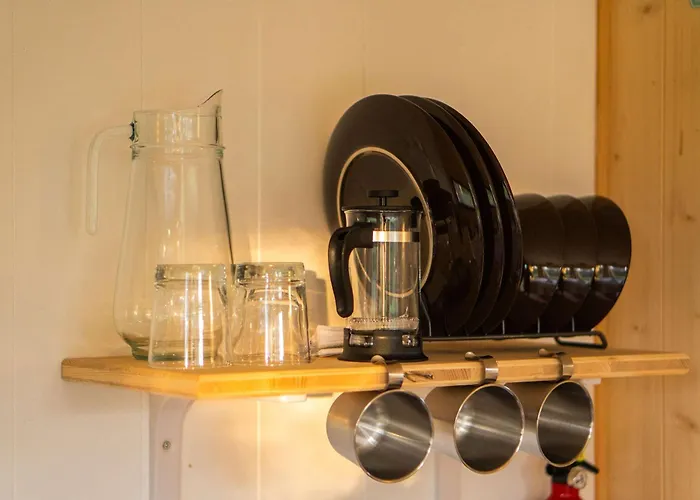 Homnest - Bosquet Des Domes N2 - Puys A Cheval * Châtel-Guyon