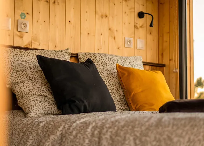 Homnest - Bosquet Des Domes N2 - Puys A Cheval *