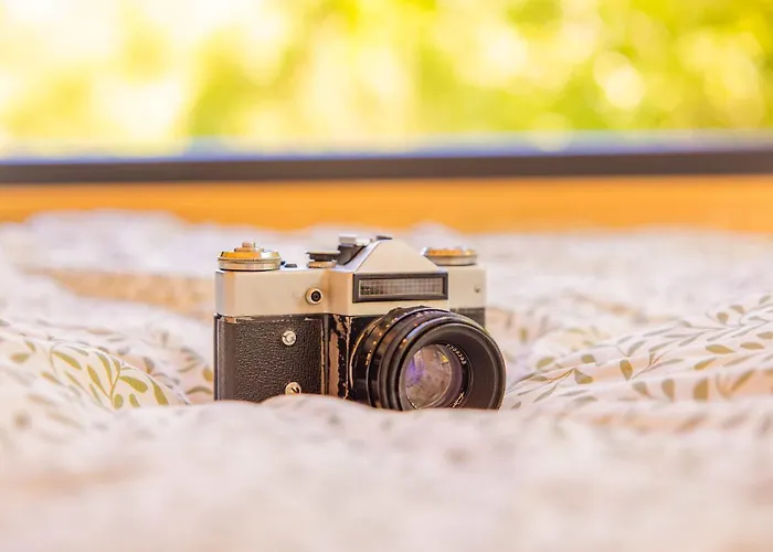 Homnest - Bosquet Des Domes N2 - Puys A Cheval Ferienhaus