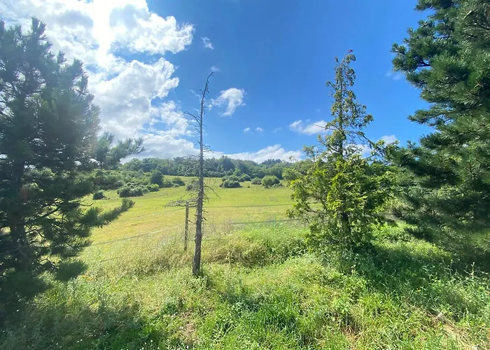 Homnest - Bosquet Des Domes N2 - Puys A Cheval Ferienhaus
