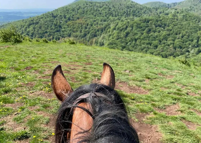Homnest - Bosquet Des Domes N2 - Puys A Cheval *