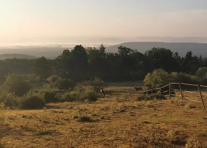 Homnest - Bosquet Des Domes N2 - Puys A Cheval Ferienhaus Châtel-Guyon